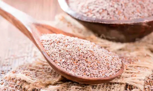 Psyllium - Ingrediente Lift Detox Black